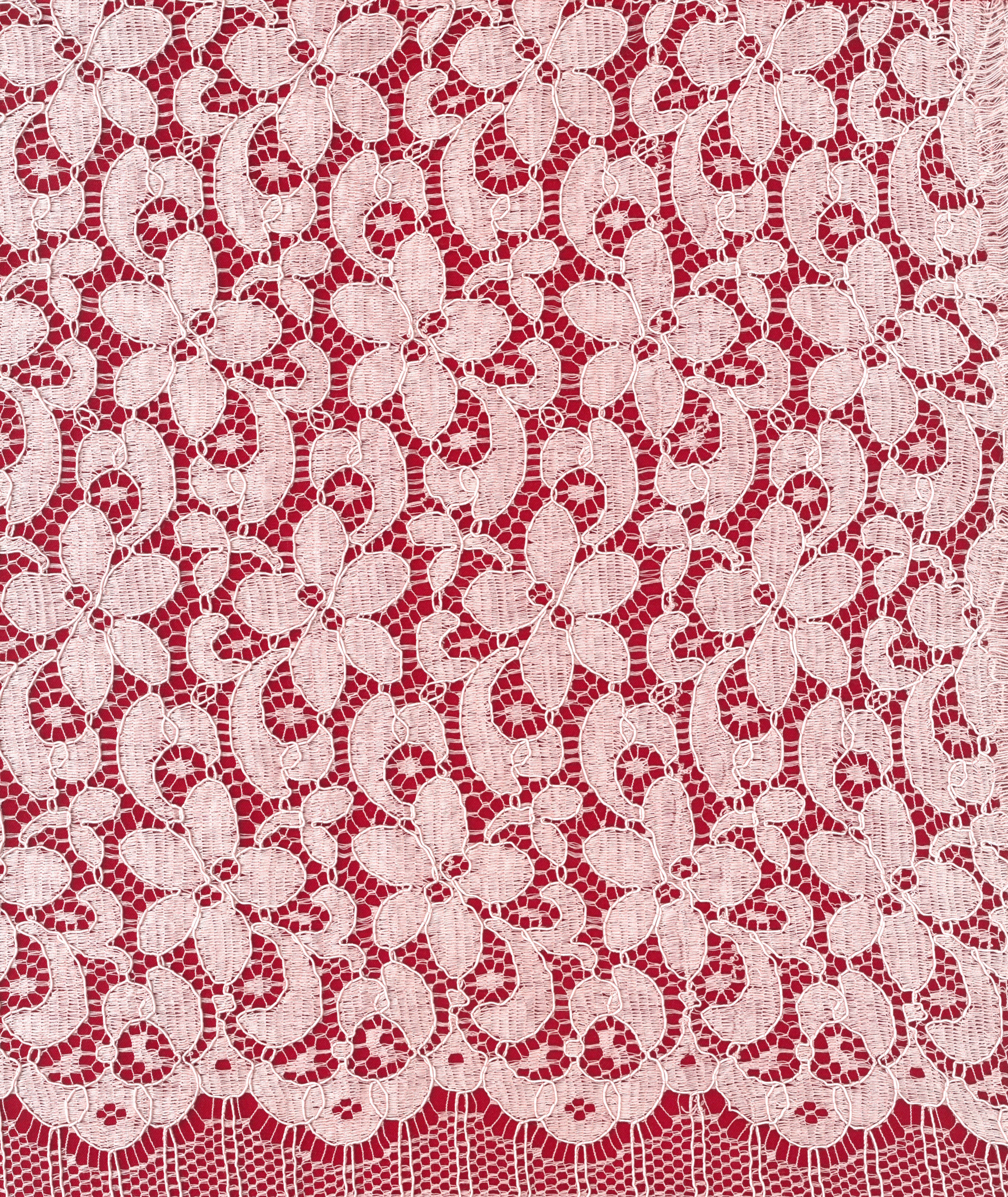 CORDED FRENCH LACE - LIGHT ROSE